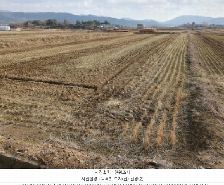 2025타경32043 전북특별자치도 김제시 봉남면 평사리 1291-5 농지 경매 이미지