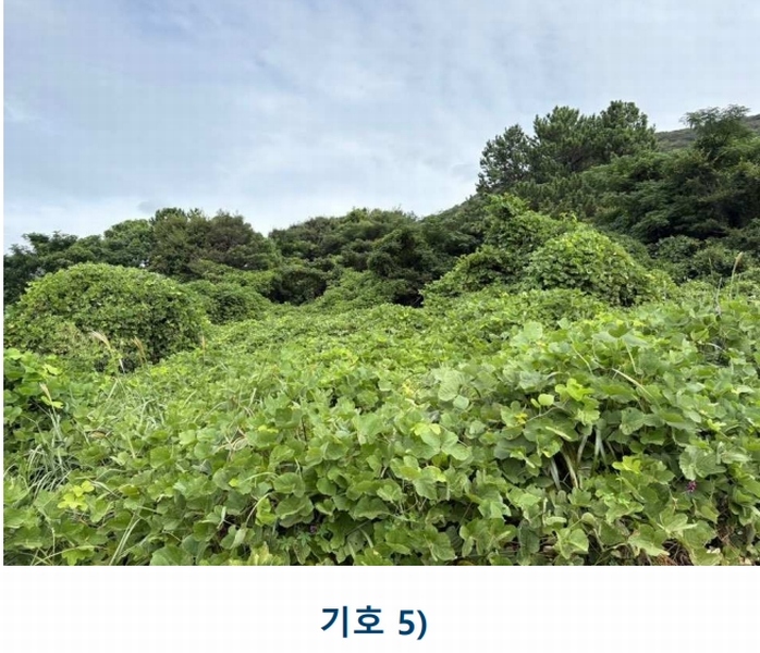 2025타경1481 전라남도 완도군 완도읍 대신리 413-29 농지 경매 이미지