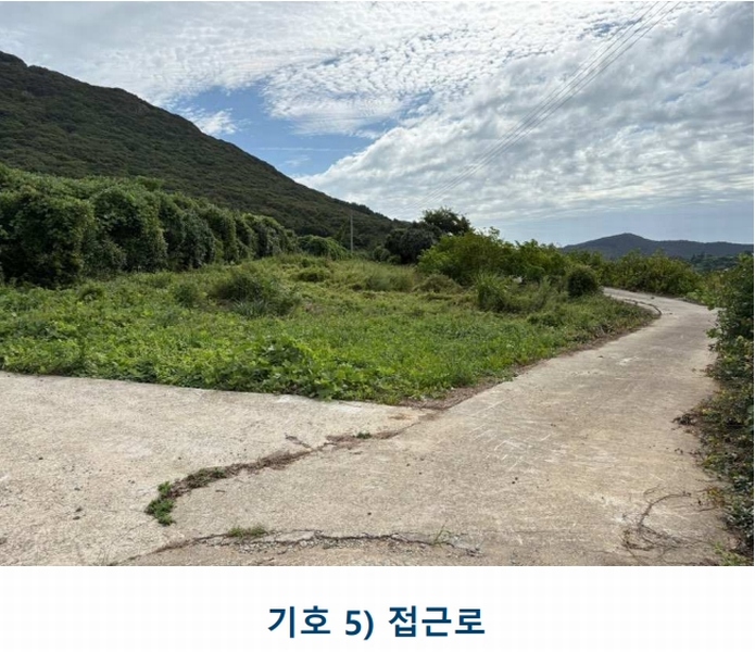 2025타경1481 전라남도 완도군 완도읍 대신리 413-29 농지 경매 이미지