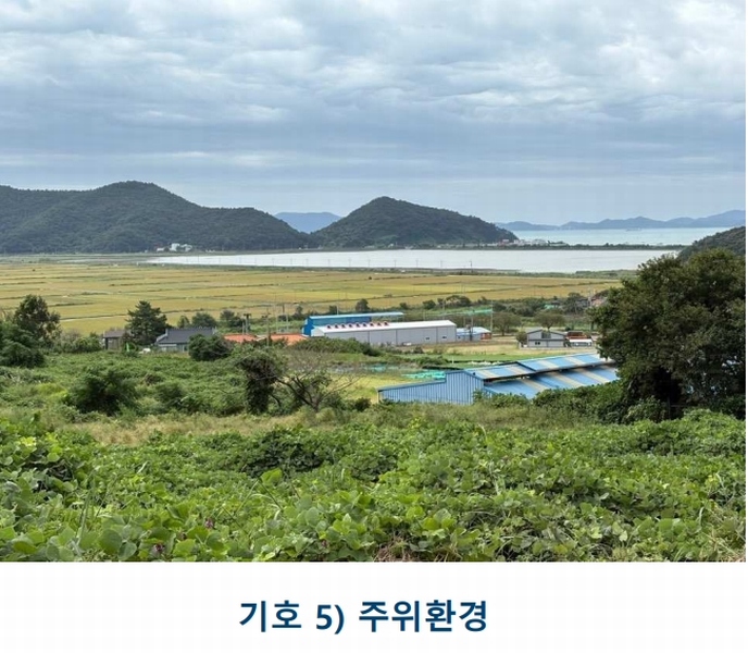 2025타경1481 전라남도 완도군 완도읍 대신리 413-29 농지 경매 이미지