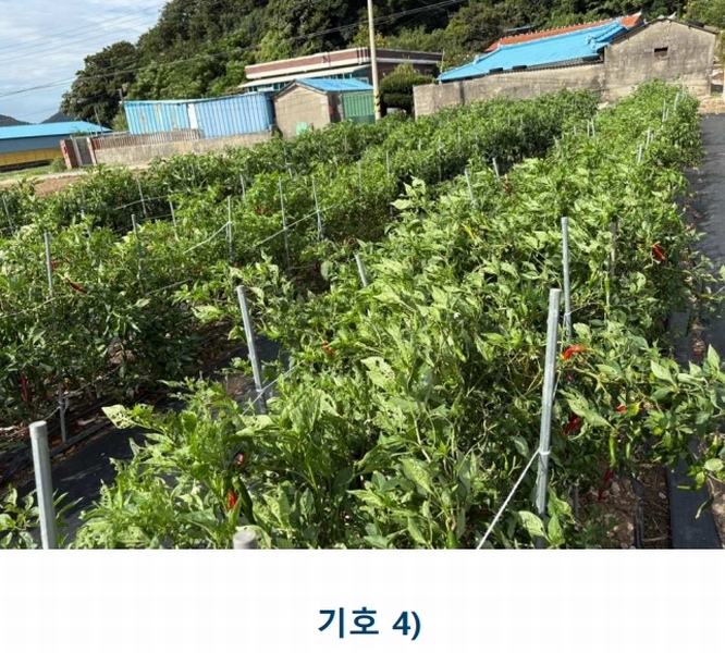 2025타경1481 전라남도 완도군 완도읍 대신리 174-2 농지 경매 이미지