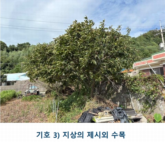2025타경1481 전라남도 완도군 완도읍 대신리 174-2 농지 경매 이미지