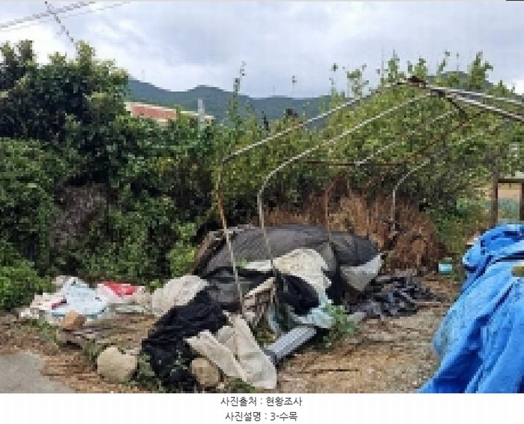 2025타경1481 전라남도 완도군 완도읍 대신리 174-2 농지 경매 이미지