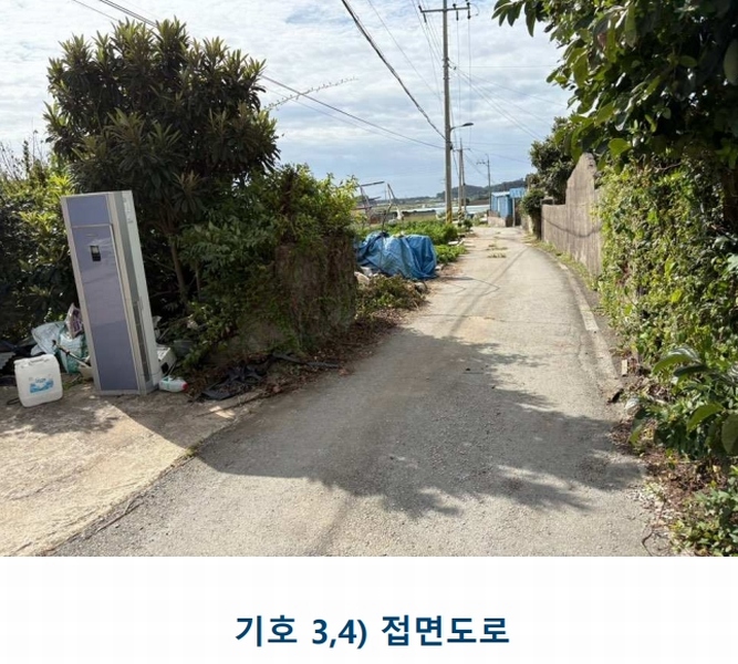 2025타경1481 전라남도 완도군 완도읍 대신리 174-2 농지 경매 이미지