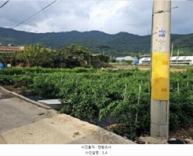2025타경1481 전라남도 완도군 완도읍 대신리 174-2 농지 경매 이미지