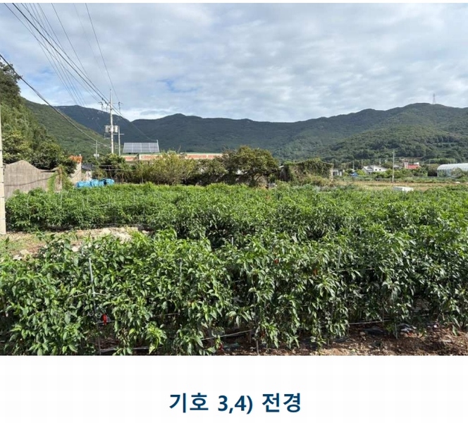 2025타경1481 전라남도 완도군 완도읍 대신리 174-2 농지 경매 이미지