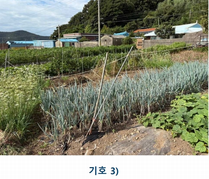 2025타경1481 전라남도 완도군 완도읍 대신리 174-2 농지 경매 이미지