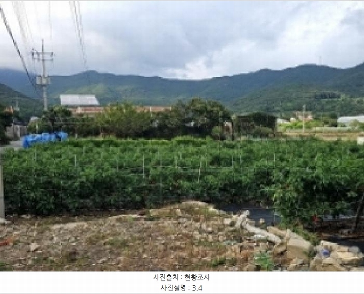 2025타경1481 전라남도 완도군 완도읍 대신리 174-2 농지 경매 이미지