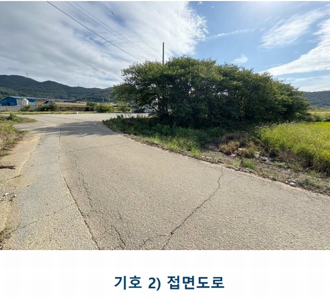 2025타경1481 전라남도 완도군 완도읍 화흥리 989 농지 경매 이미지