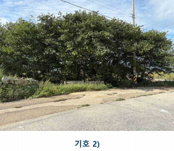 2025타경1481 전라남도 완도군 완도읍 화흥리 989 농지 경매 이미지