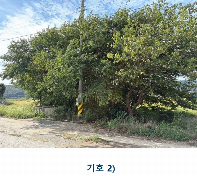 2025타경1481 전라남도 완도군 완도읍 화흥리 989 농지 경매 이미지