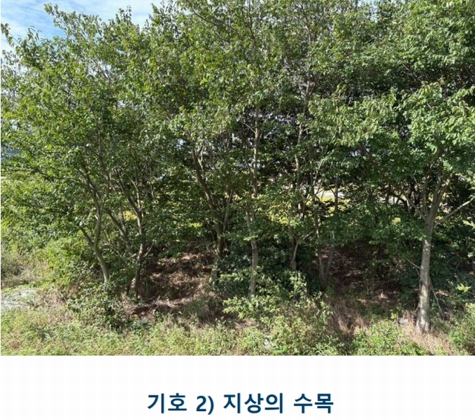 2025타경1481 전라남도 완도군 완도읍 화흥리 989 농지 경매 이미지