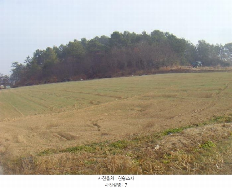 2025타경50124 전라남도 해남군 황산면 원호리 771 농지 경매 이미지