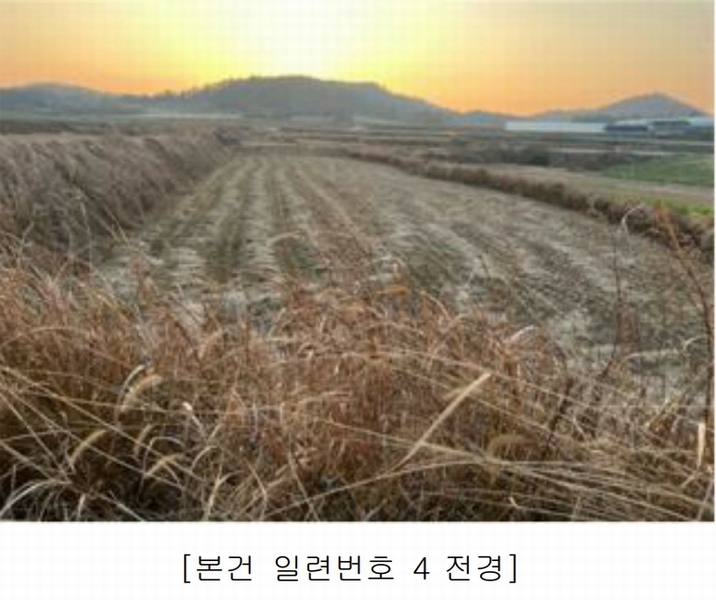 2025타경50124 전라남도 해남군 황산면 원호리 787 임야 경매 이미지