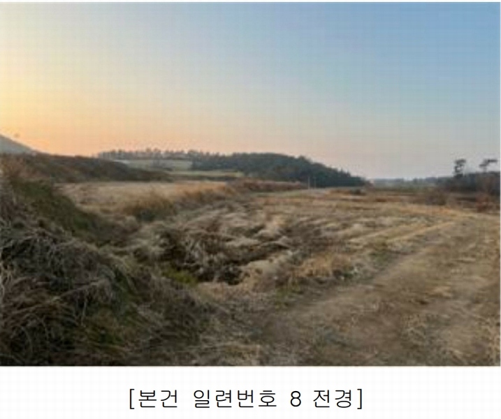 2025타경50124 전라남도 해남군 황산면 원호리 787 임야 경매 이미지