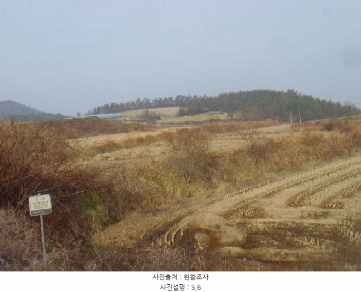 2025타경50124 전라남도 해남군 황산면 원호리 787 임야 경매 이미지