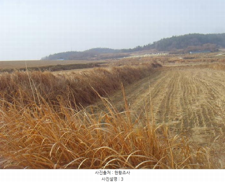 2025타경50124 전라남도 해남군 황산면 원호리 787 임야 경매 이미지