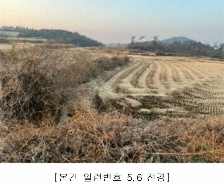 2025타경50124 전라남도 해남군 황산면 원호리 787 임야 경매 이미지