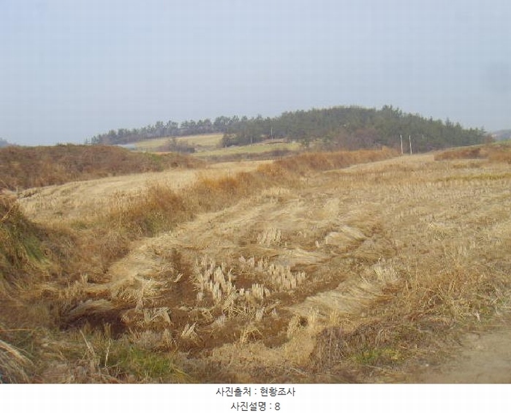 2025타경50124 전라남도 해남군 황산면 원호리 787 임야 경매 이미지