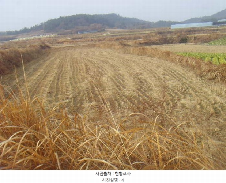 2025타경50124 전라남도 해남군 황산면 원호리 787 임야 경매 이미지