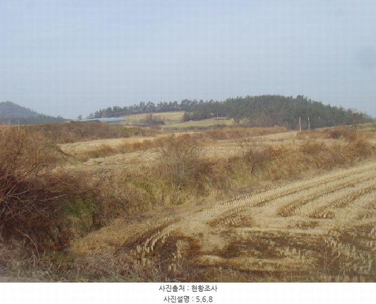2025타경50124 전라남도 해남군 황산면 원호리 787 임야 경매 이미지