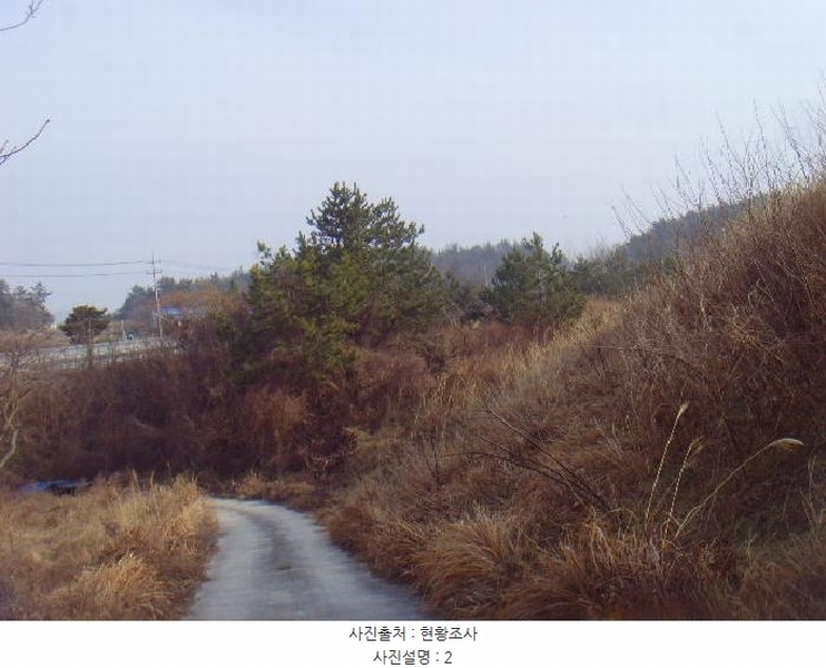 2025타경50124 전라남도 해남군 황산면 원호리 700-1 농지 경매 이미지