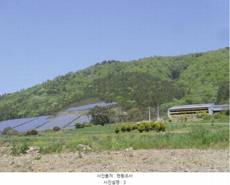 2025타경50445 전라남도 진도군 군내면 분토리 산187 임야 경매 이미지