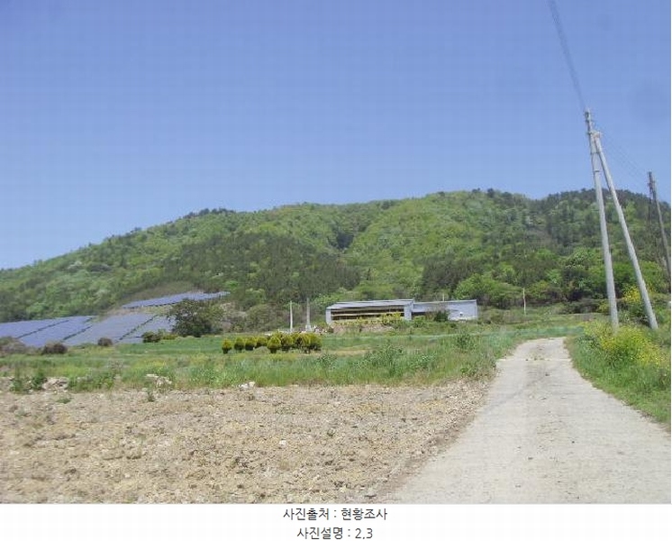 2025타경50445 전라남도 진도군 군내면 분토리 산187 임야 경매 이미지