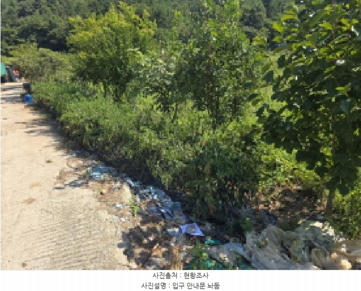 2025타경50572 전라남도 완도군 신지면 대곡리 1300 농지 경매 이미지