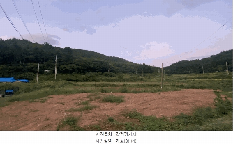 2025타경50572 전라남도 완도군 신지면 대곡리 1300 농지 경매 이미지