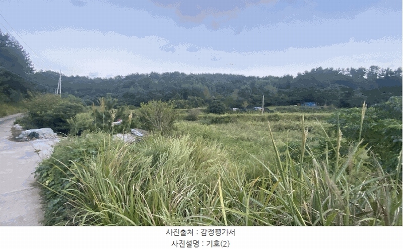 2025타경50572 전라남도 완도군 신지면 대곡리 1300 농지 경매 이미지
