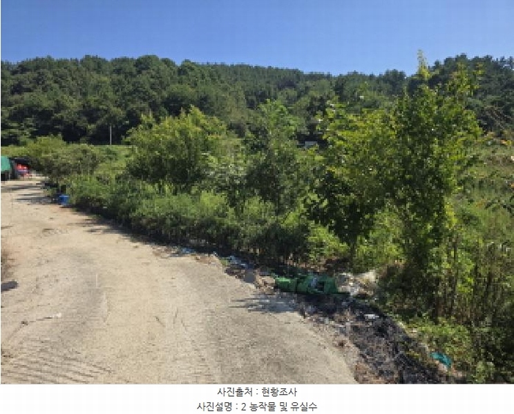 2025타경50572 전라남도 완도군 신지면 대곡리 1300 농지 경매 이미지