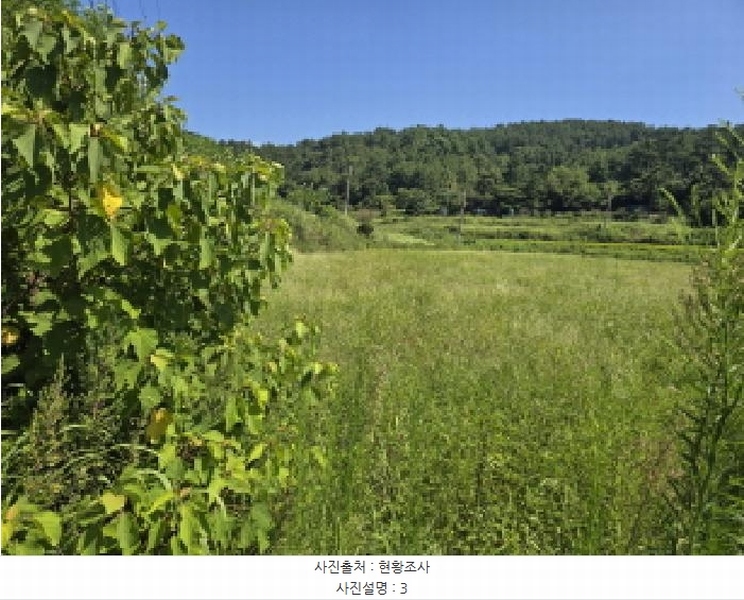 2025타경50572 전라남도 완도군 신지면 대곡리 1300 농지 경매 이미지