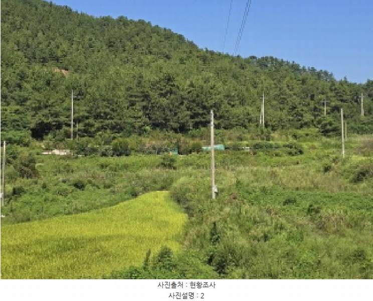 2025타경50572 전라남도 완도군 신지면 대곡리 1300 농지 경매 이미지