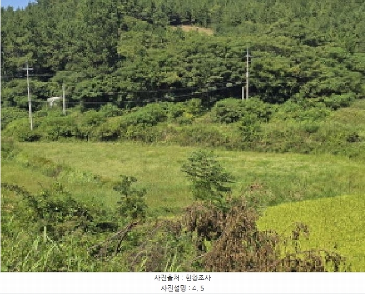 2025타경50572 전라남도 완도군 신지면 대곡리 1300 농지 경매 이미지