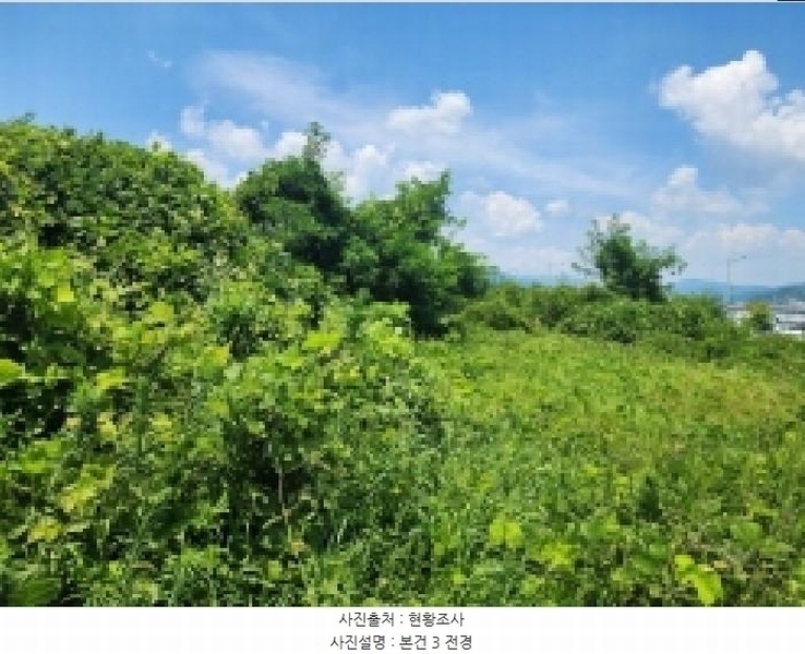 2025타경51751 전라남도 광양시 옥곡면 신금리 1807 대지 경매 이미지
