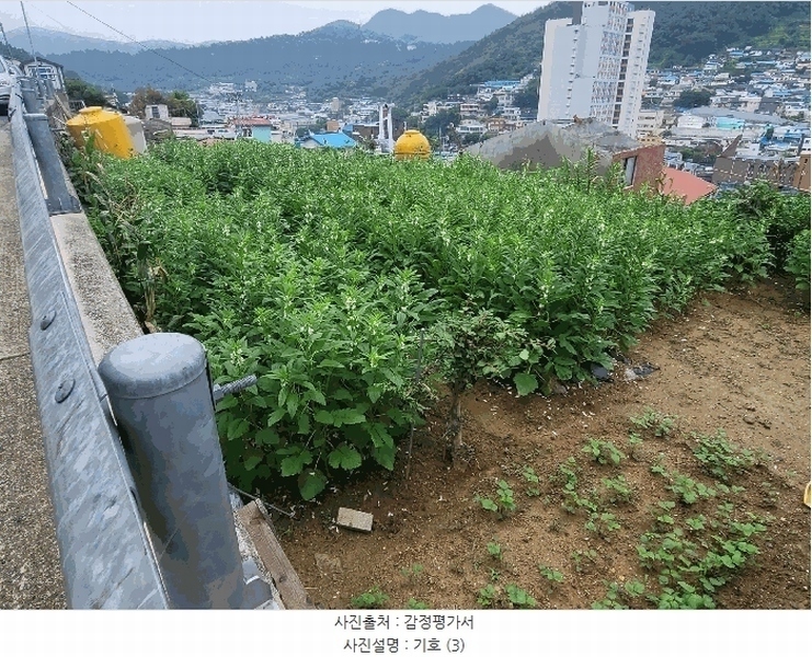 2025타경51856 전라남도 여수시 광무동 733-4 대지 경매 이미지
