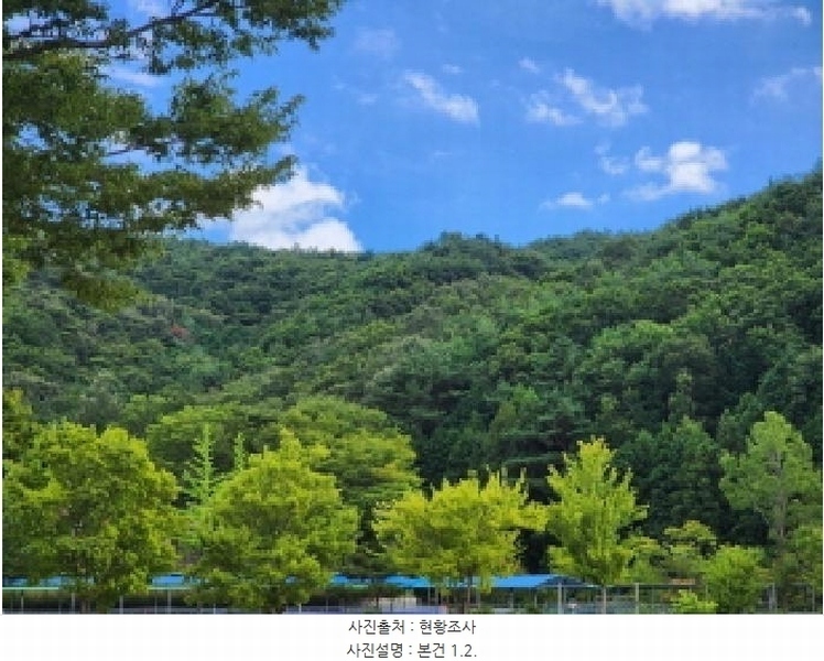 2025타경51862 전라남도 광양시 성황동 산3-3 목장용지 경매 이미지
