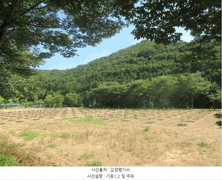2025타경51862 전라남도 광양시 성황동 산3-3 목장용지 경매 이미지