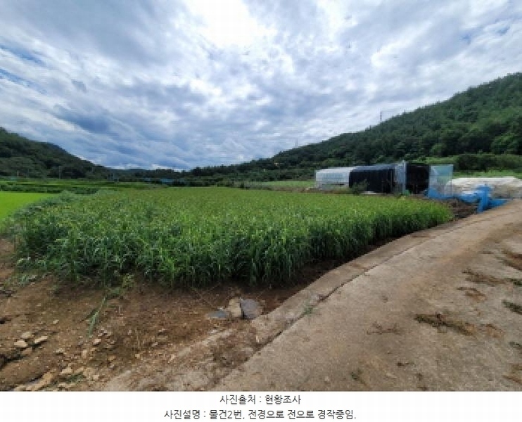 2025타경51904 전라남도 고흥군 과역면 도천리 1375 농지 경매 이미지