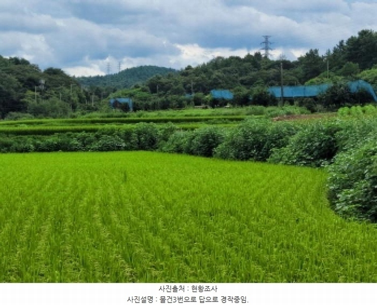 2025타경51904 전라남도 고흥군 과역면 도천리 1375 농지 경매 이미지