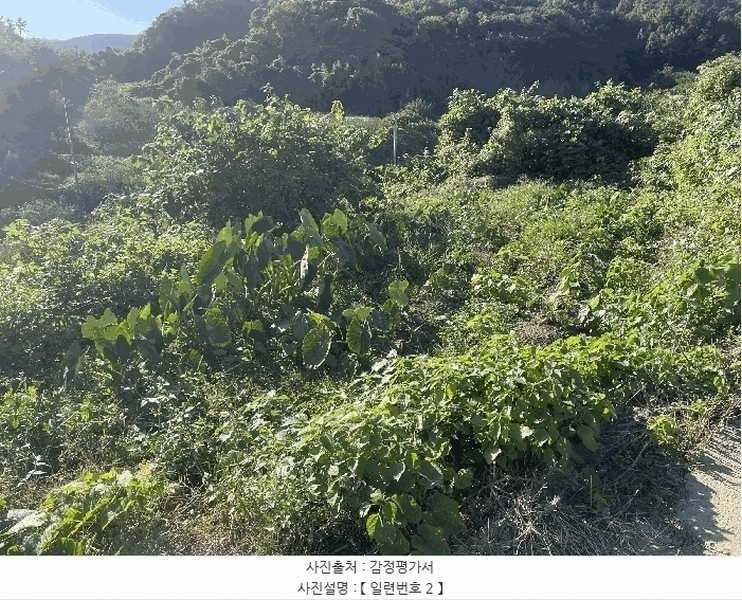 2025타경51995 전라남도 보성군 벌교읍 낙성리 417 농지 경매 이미지
