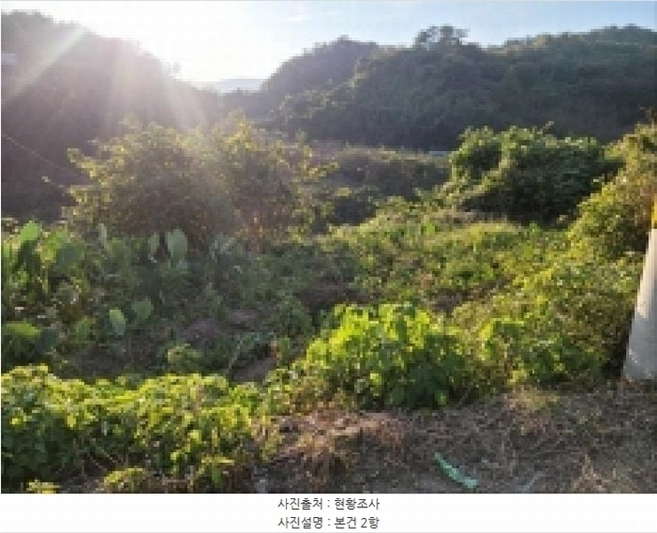 2025타경51995 전라남도 보성군 벌교읍 낙성리 417 농지 경매 이미지