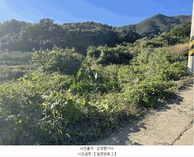 2025타경51995 전라남도 보성군 벌교읍 낙성리 417 농지 경매 이미지