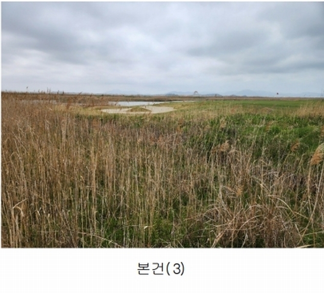 2025타경50886 전라남도 영암군 삼호읍 난전리 2156-7 잡종지 경매 이미지