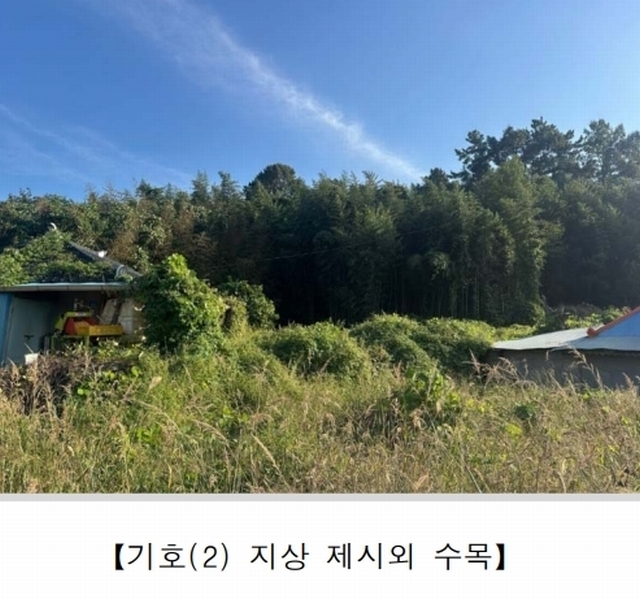 2025타경51492 전라남도 영암군 덕진면 용산리 280-4 대지 경매 이미지