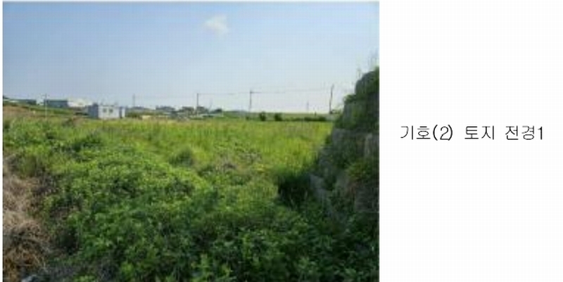 2025타경11709 충청남도 천안시 서북구 직산읍 석곡리 139-14 임야 경매 이미지