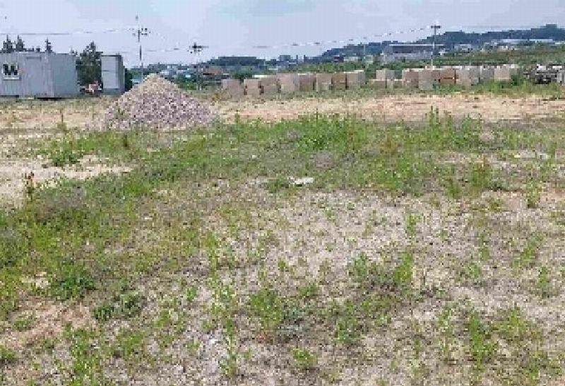 2025타경11709 충청남도 천안시 서북구 직산읍 석곡리 139-14 임야 경매 이미지