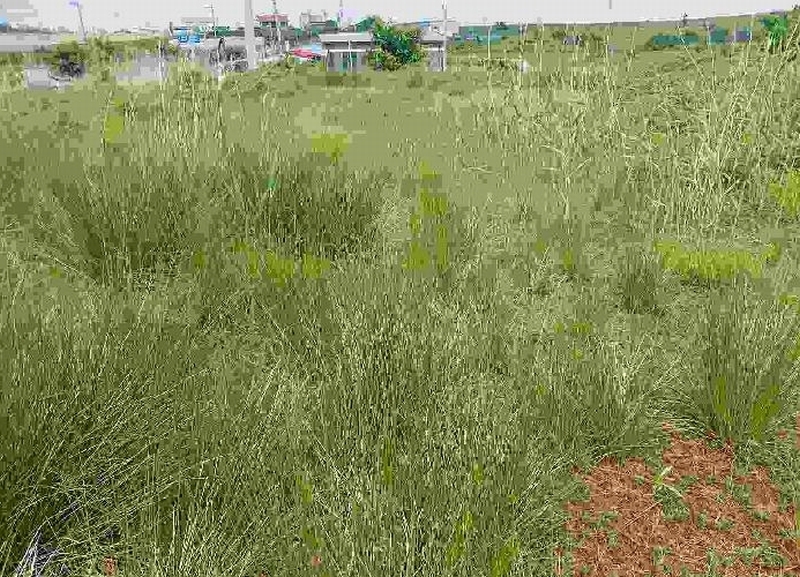 2025타경11709 충청남도 천안시 서북구 직산읍 석곡리 139-14 임야 경매 이미지
