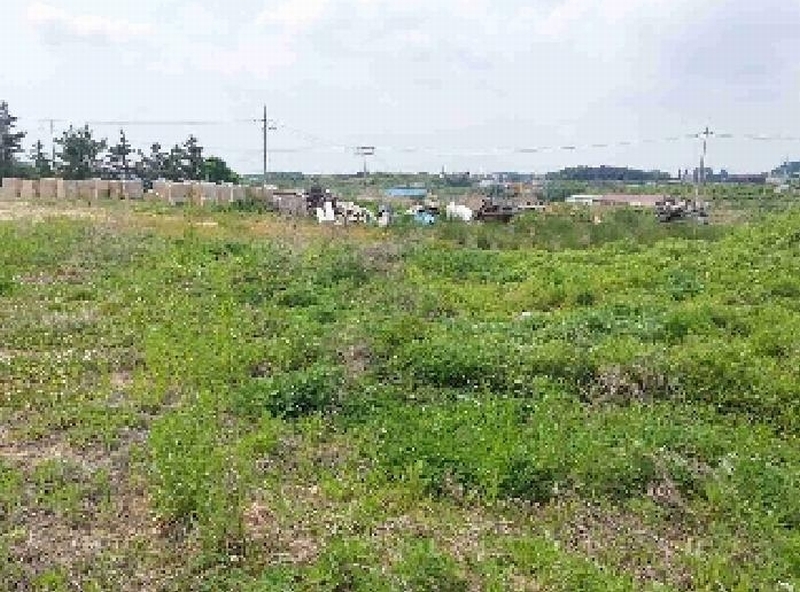 2025타경11709 충청남도 천안시 서북구 직산읍 석곡리 139-14 임야 경매 이미지